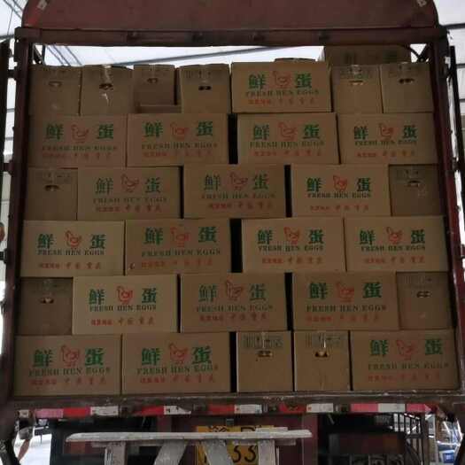 夏邑县自有鸡场