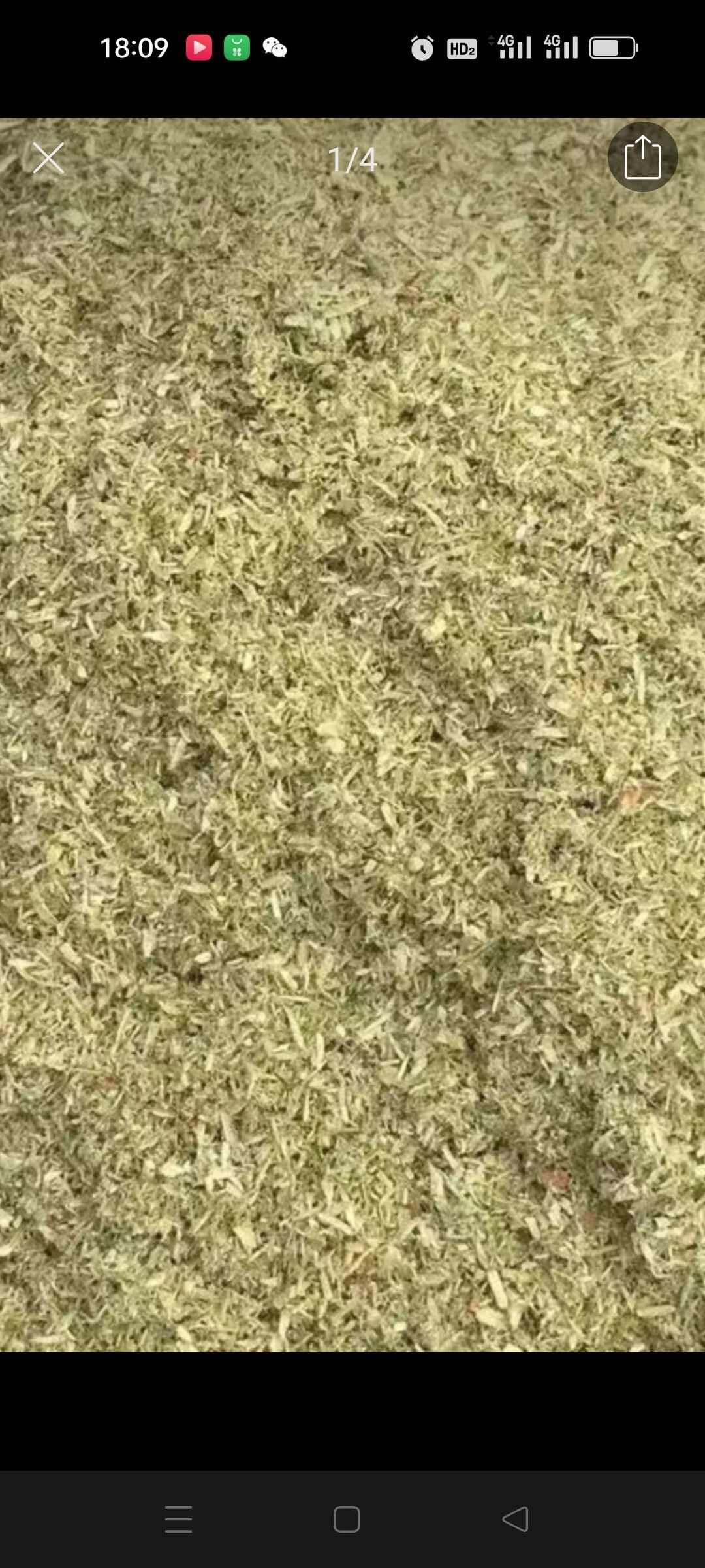 山西高平松针粉饲料添加剂天然提取促进动物生长改善品质