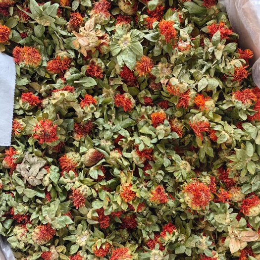 亳州红花头  红花球 云南新货 无硫纯干 各种规格