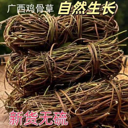 玉林广西鸡骨草，天然生长