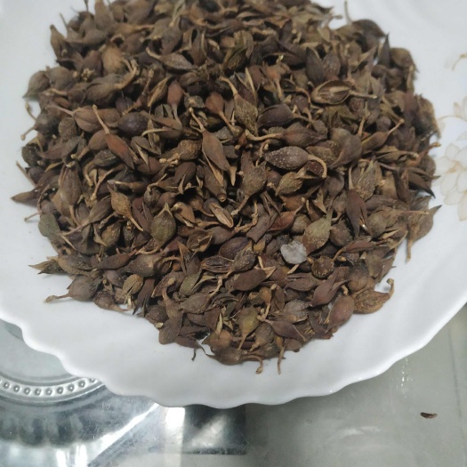 平陆县一手货中条山连翘
