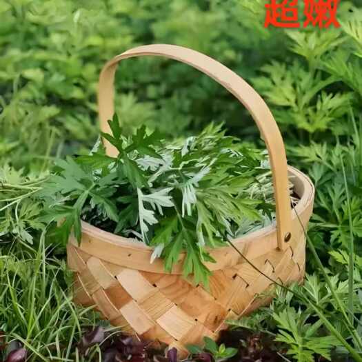 通城县艾草艾叶清明团