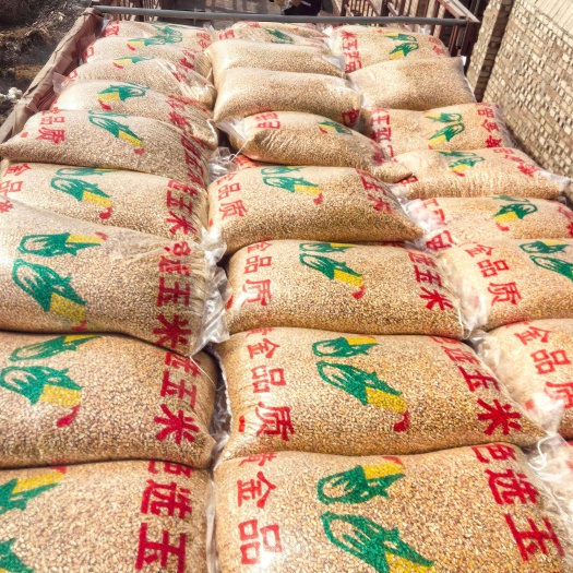 西安袋装色选玉米