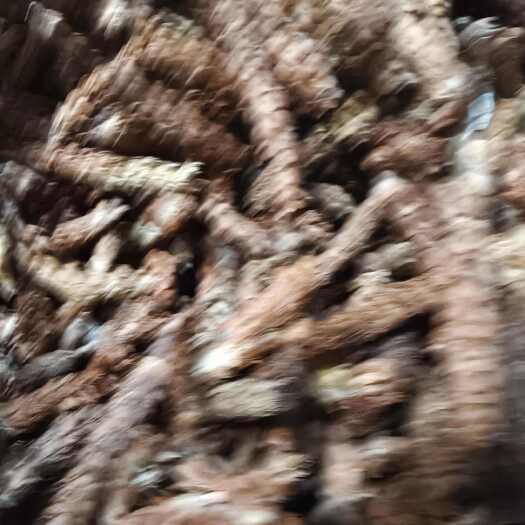 河南驻马店夏枯草中药材全草类药材批发零售