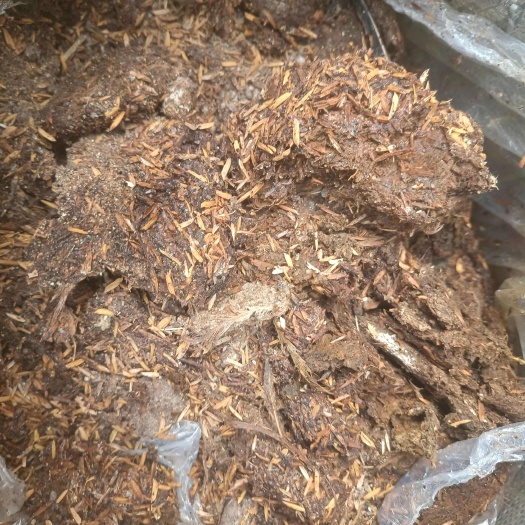 惠水县干鸡粪