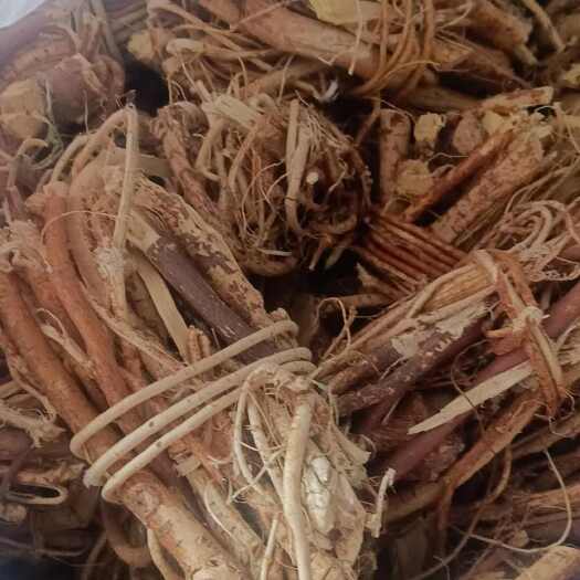 广州五指毛桃中药材根茎干货批发零售