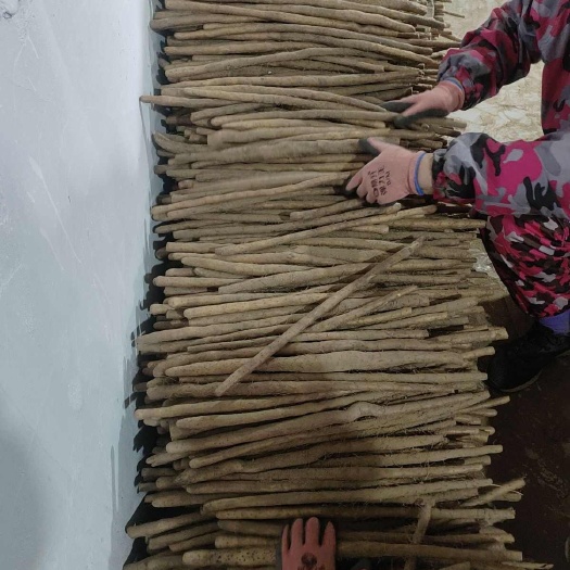 河北蠡县特产铁棍山药 山药批发价格优惠