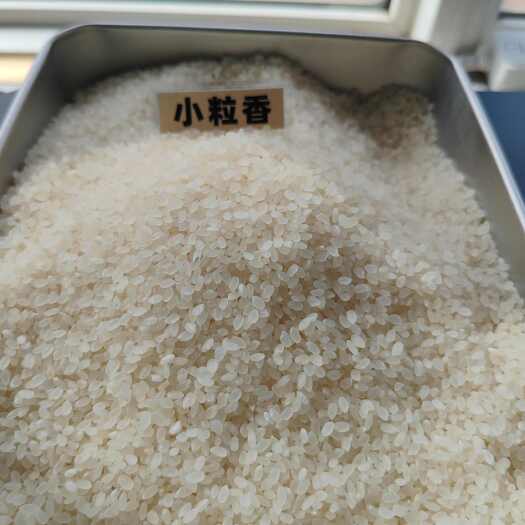 和龙市吉林延边大米一件代发小粒香珍珠米圆粒米寿司米农家米粥米