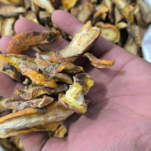 亳州地黄 鲜切地黄片 无硫 质量保证 批发零售各种中药材……
