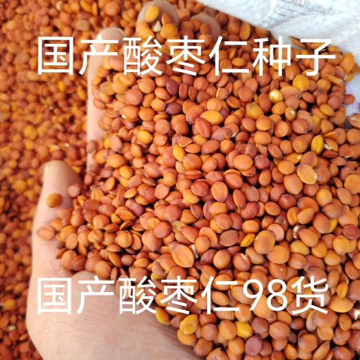 精选国产酸枣仁98货 酸枣仁 酸枣仁种子 酸枣仁饮片