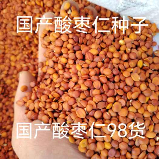 内丘县精选国产酸枣仁98货 酸枣仁 酸枣仁种子 酸枣仁饮片