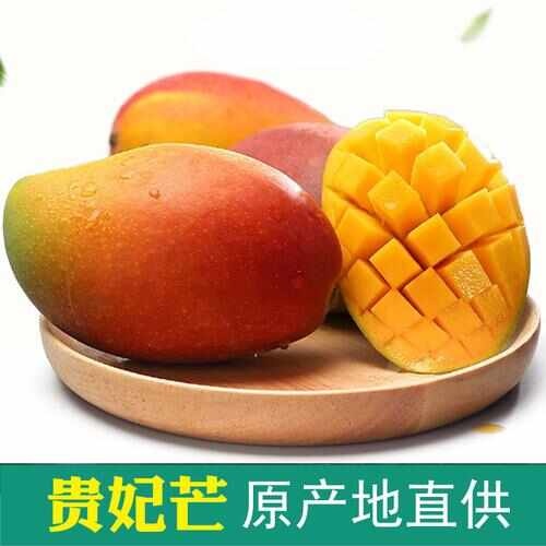 乐东县海南贵妃芒果当季新鲜孕妇水果红金龙小芒果3/5/9斤装