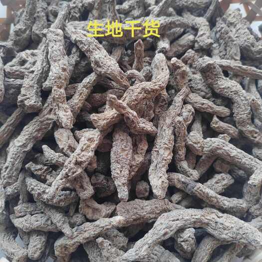 洛宁县豫地四大怀药之一的地黄，怀地黄，生地黄，九制熟地黄都有。