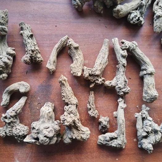浙白术整个浙江三年白术非少量复合肥加草木灰种植