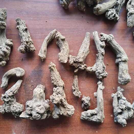 杭州浙白术整个浙江两年白术非少量复合肥加草木灰种植