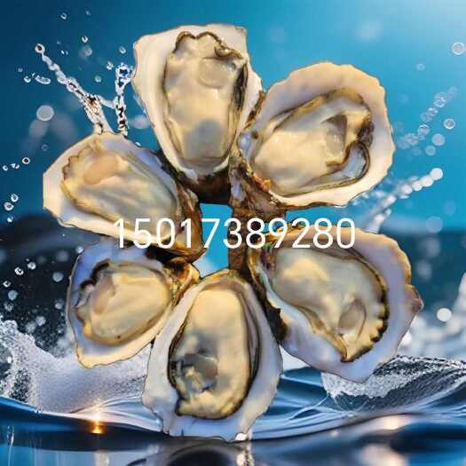 徐闻县新鲜三倍体 广东湛江徐闻直发 保证鲜活 精选海产 环保包装