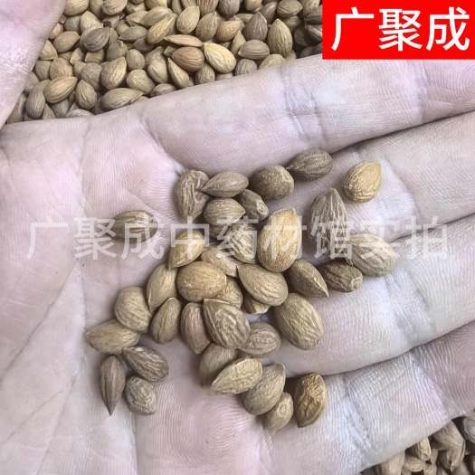 郁李仁小李仁饱满无杂一公斤起批