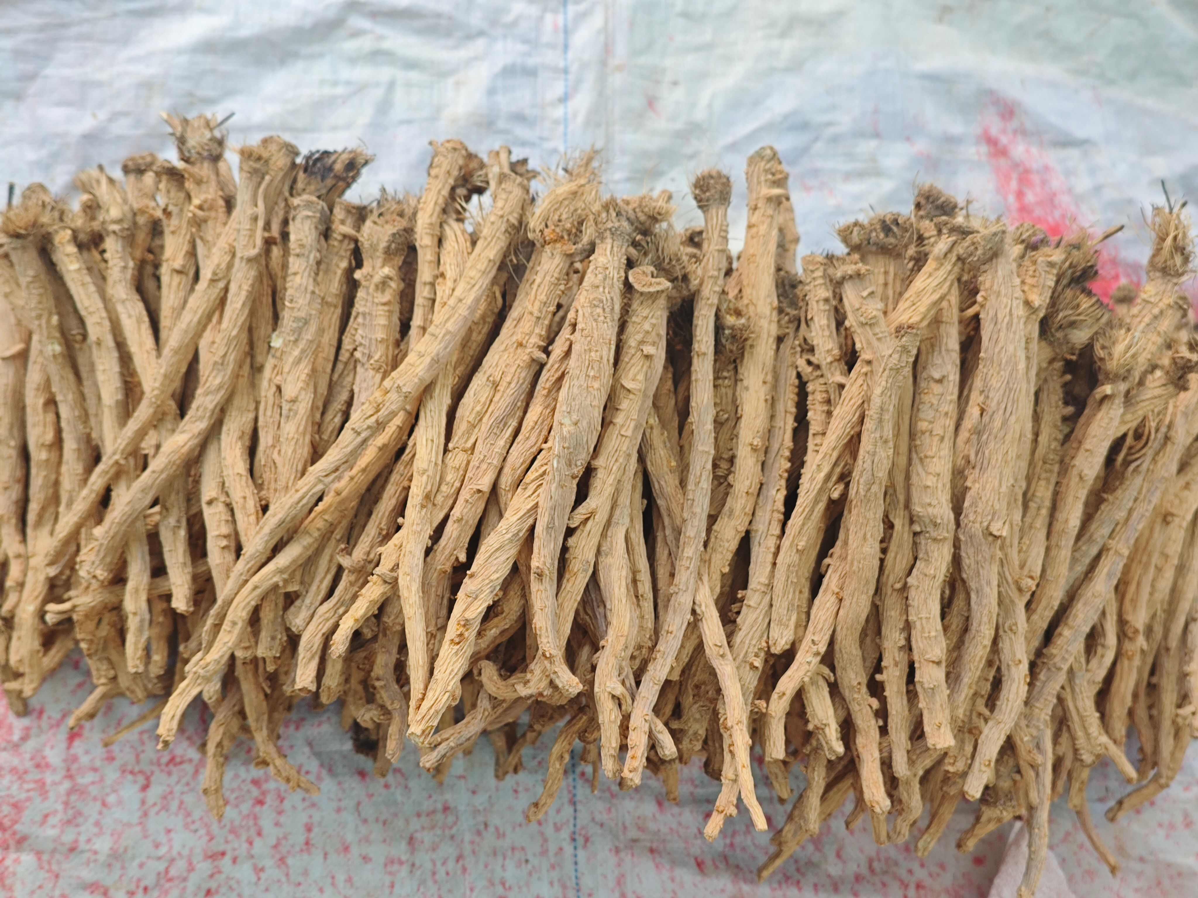 防风干货 需要的打我电话 一五零，一四一八，三六五三