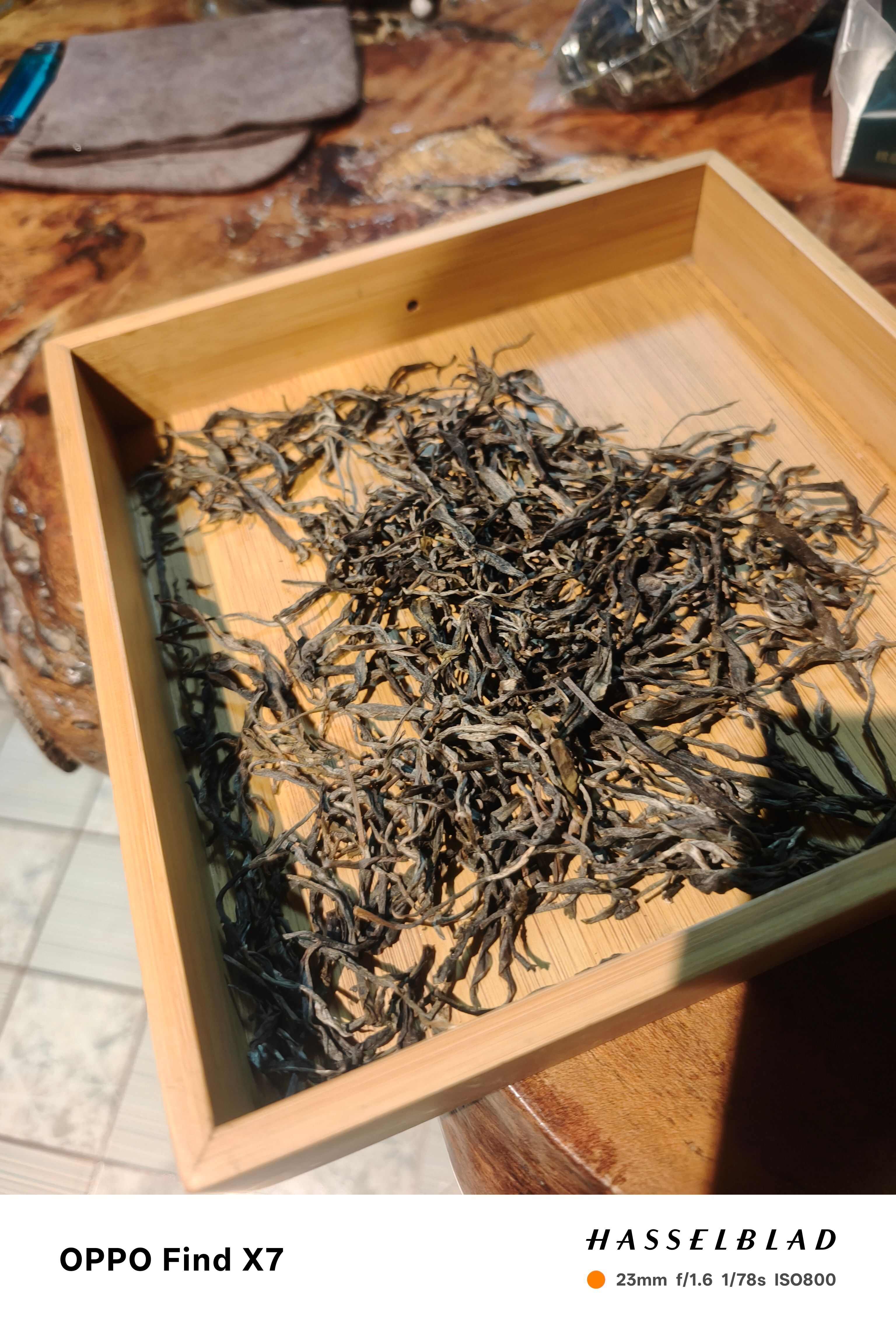 普洱生茶