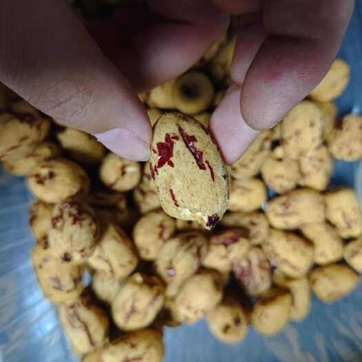 沧县电商专用虎皮红枣工厂直发有量就有价