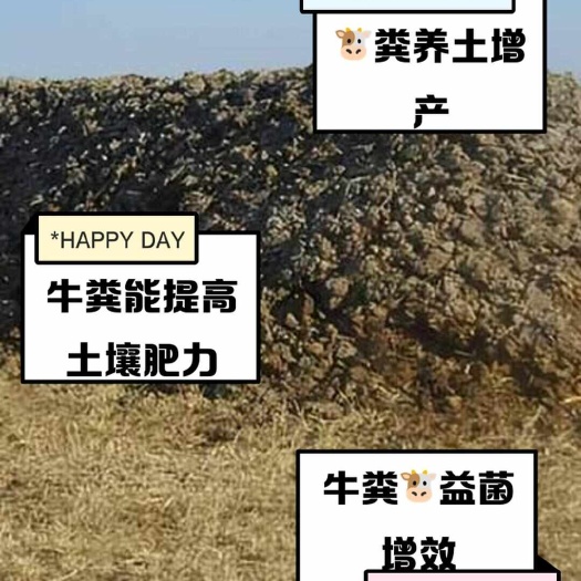 濉溪县牛粪