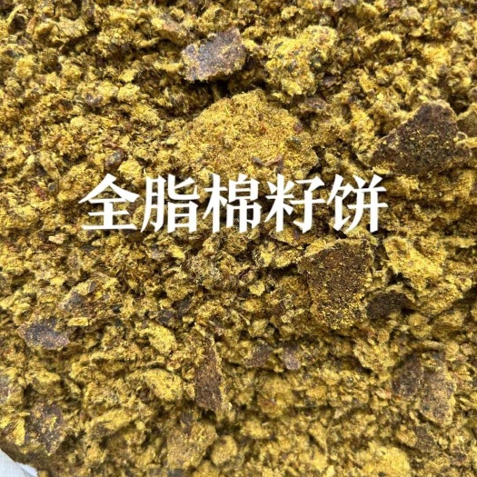 石家庄全脂棉籽饼 牛羊猪饲料