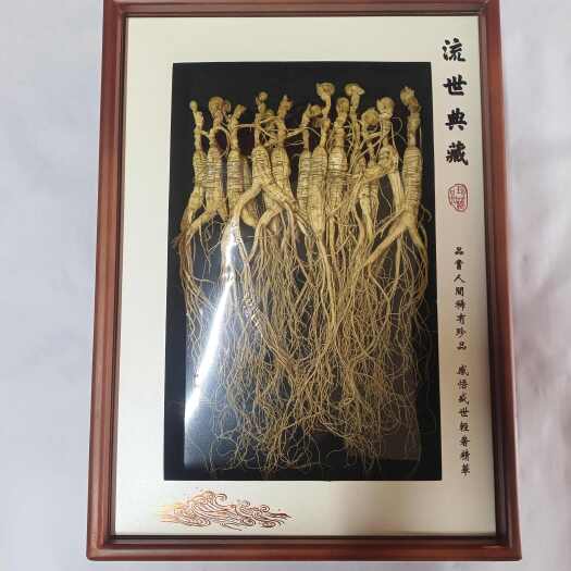 长白山林下参生晒参15一16年礼盒装无锈斑整根人参干货中药材