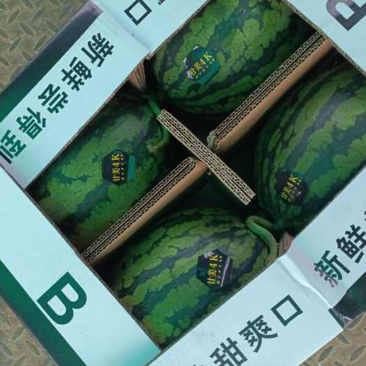揭阳*甘美4K西瓜｜一口咬进盛夏的蜜罐，甜度爆表的「红色宝石」来