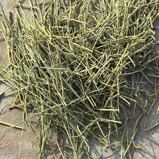 银川麻黄草