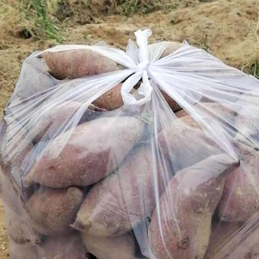 惠来县小花叶紫薯