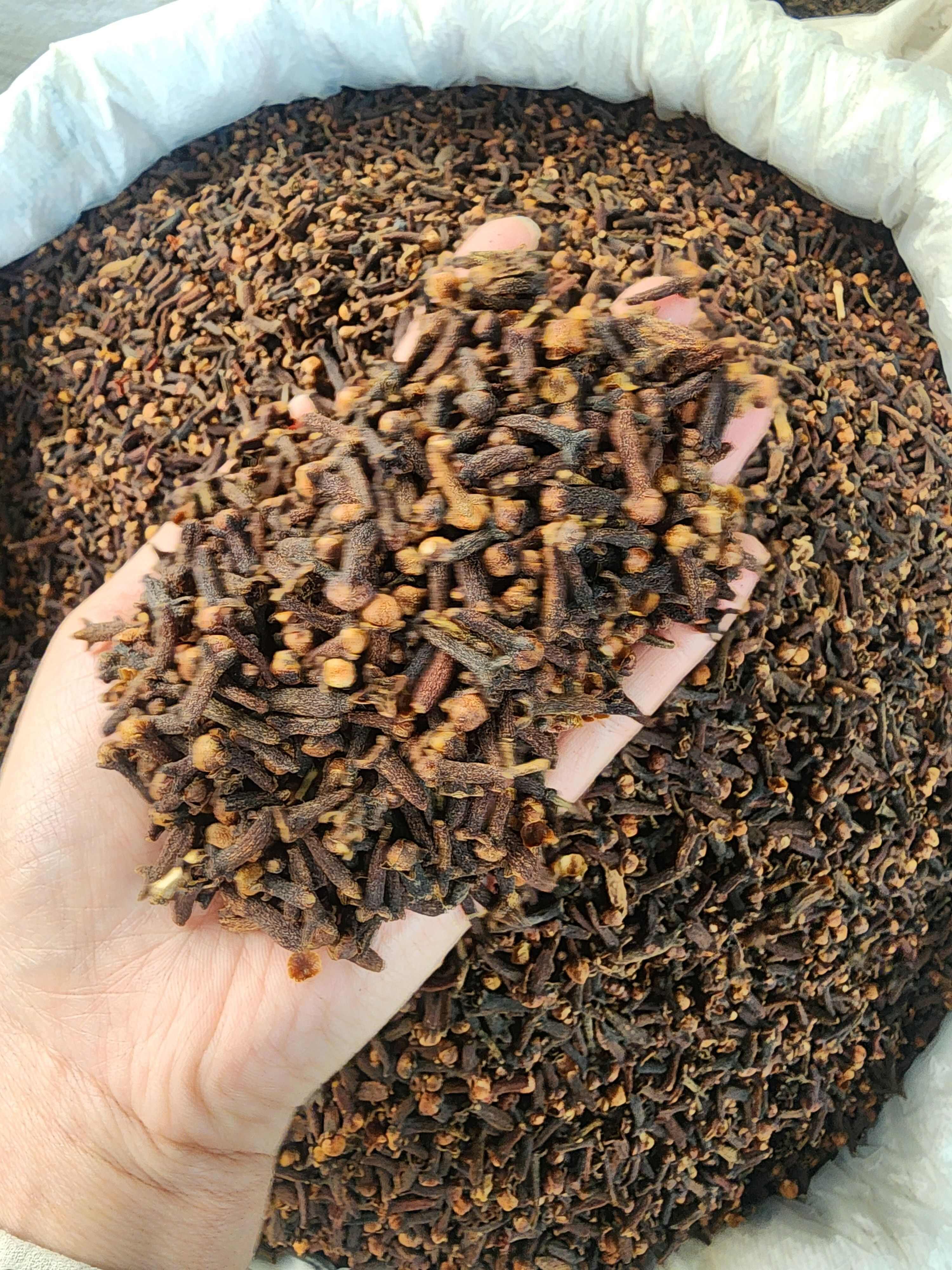 广西玉林优质公丁香中药材 干燥花蕾天然种植 玉林陆川发货