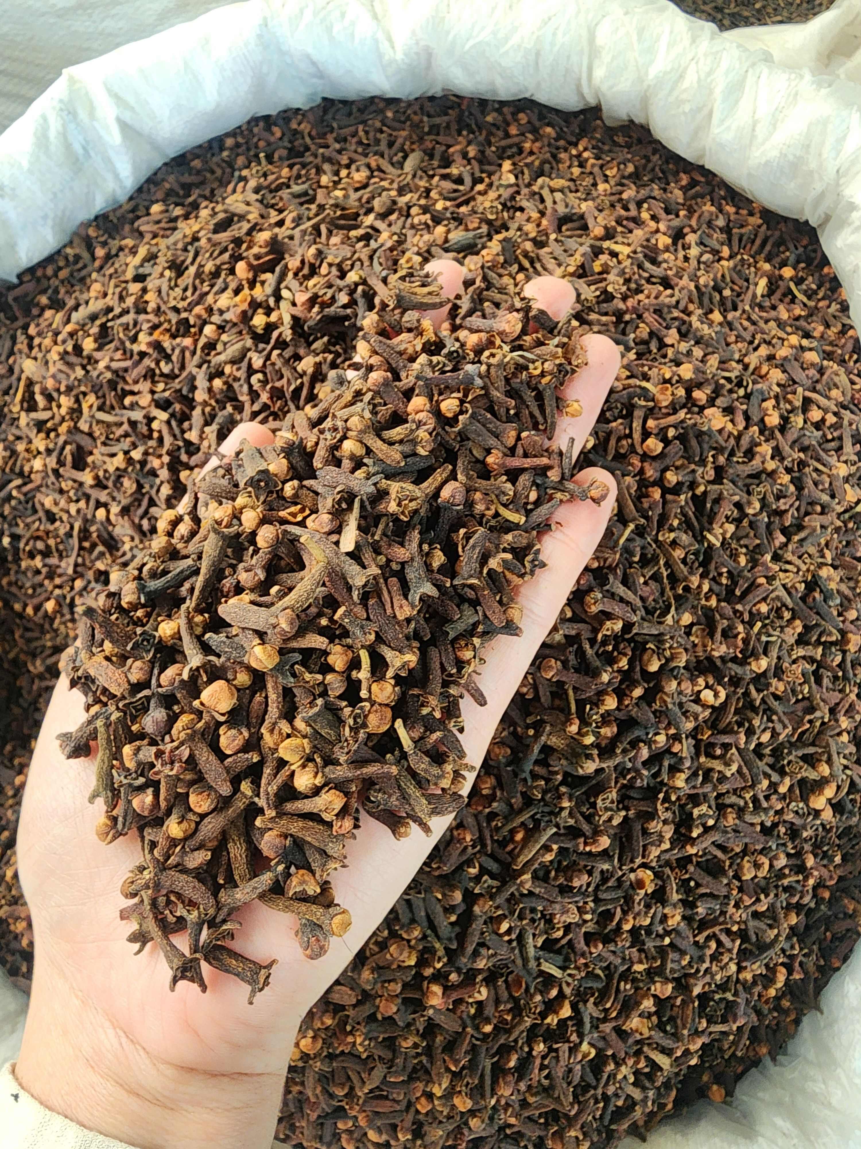 广西玉林优质公丁香中药材 干燥花蕾天然种植 玉林陆川发货