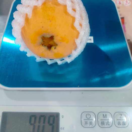 云阳大五星枇杷