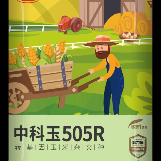 平度市抗虫版，玉米良种甩货，有需要的抓紧联系
