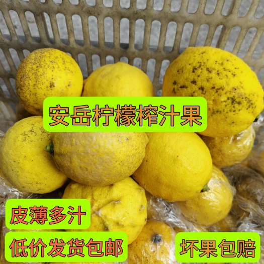 安岳县安岳优力克柠檬下三级榨汁果皮薄多汁产地直发榨汁切片泡水批发