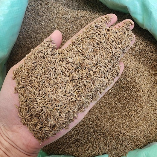 陆川县广西玉林优质孜然粉 干货调料批发 香料烹饪