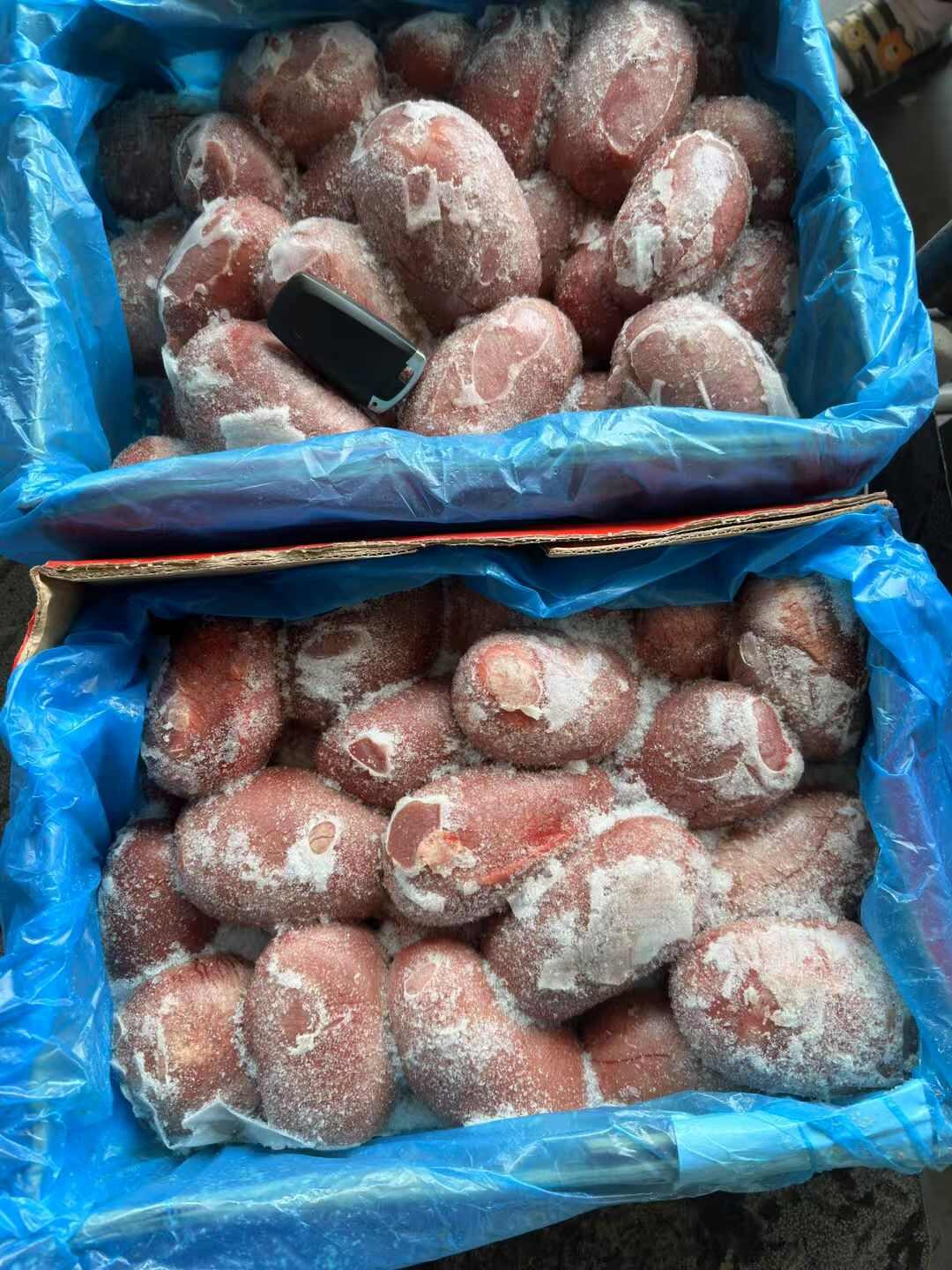 包邮  国产牛睾丸 新鲜小宝 猪蛋