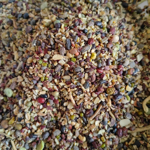 霸州市红豆碎