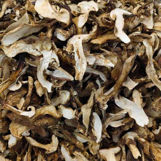 成都各种带皮松茸处理价还有1000公斤
