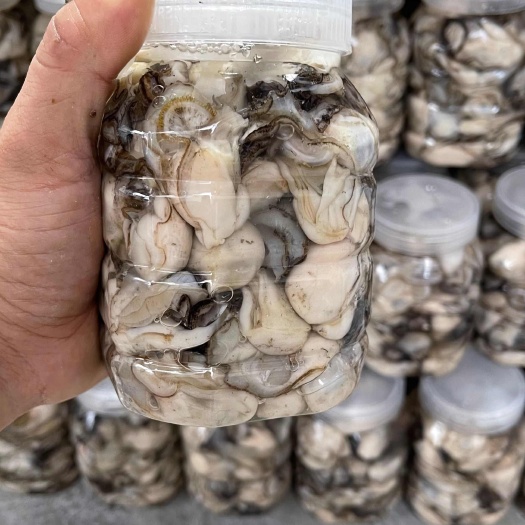 产地直供，现捞现发。汫洲牡蛎/鲜活现撬生蚝肉(袋装，罐装)
