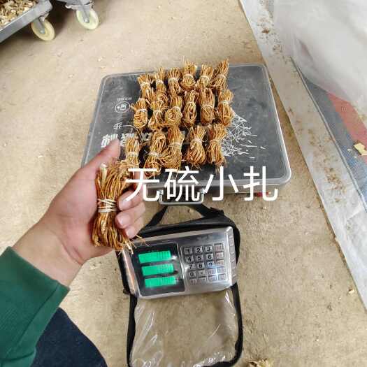 灵山县五指毛桃干货，无硫长扎，无硫小扎