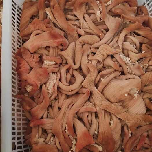 开封8成熟牛肠