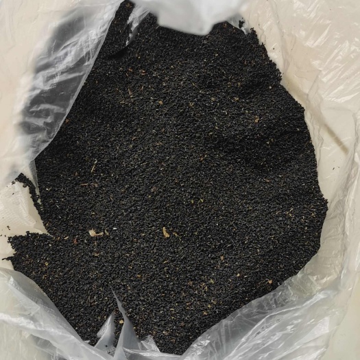 中方县十年的苦丁茶虫茶