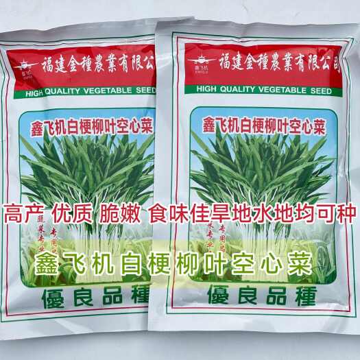沭阳县正宗白梗柳叶空心菜种子四季高产白杆通心菜尖叶耐热耐寒白杆雍菜