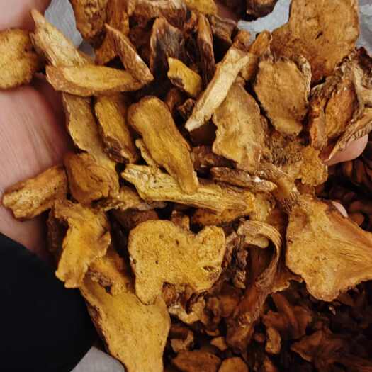 亳州白术中药材白术产地直销