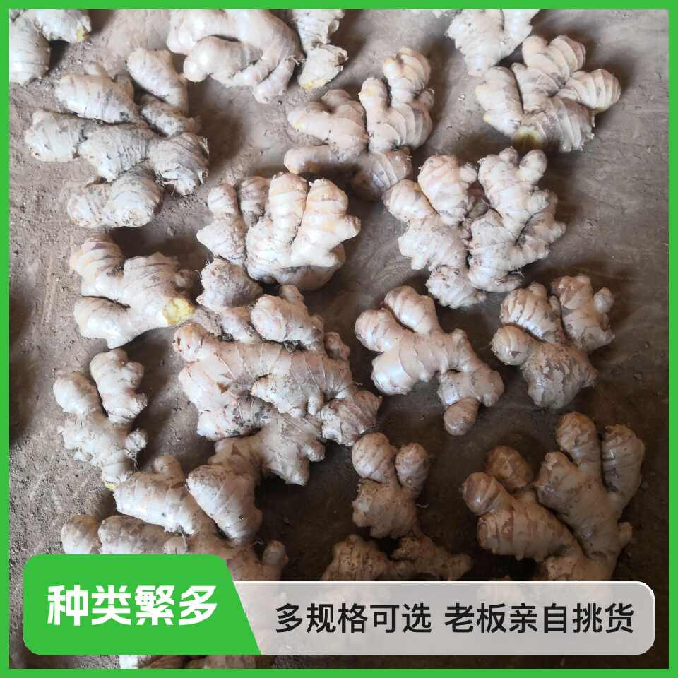云南小黄姜断姜碎姜无臭烂泥土脱落干净电商货小规格降低用姜成本