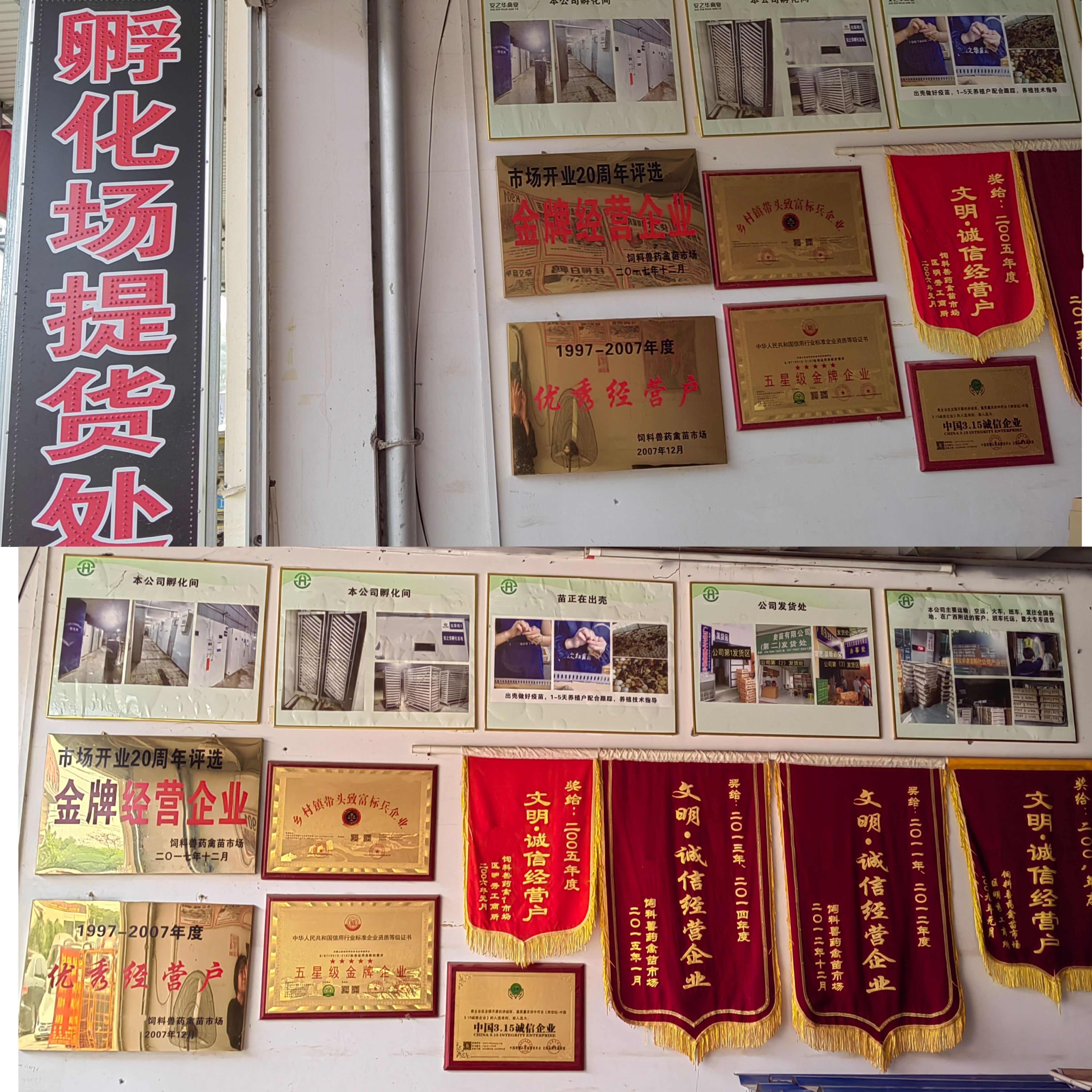 青脚土鸡苗.（平台严选店），质量有保障