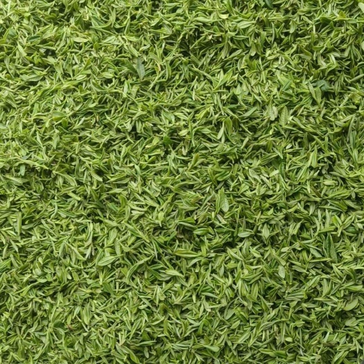 光山县毛尖茶