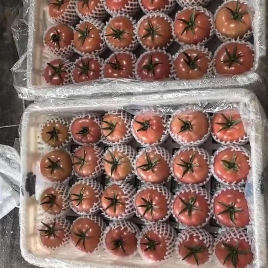 寿光市推广大口感安特莱斯，打造平台让你收到好产品，我们也好推广产品