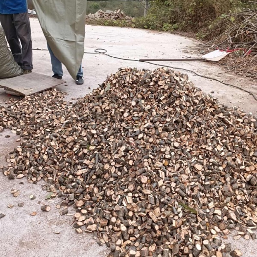西乡县天麻蜜环菌枝条青岗树枝条3公分